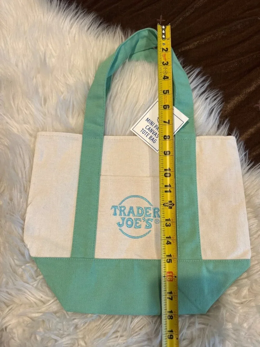 NWT Trader Joe’s Mini Pastel Canvas Tote Bag Mint Green Reusable 2035